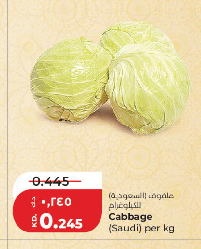 Cabbage from Saudi Arabia available at لولو هايبر ماركت in الكويت - مدينة الكويت