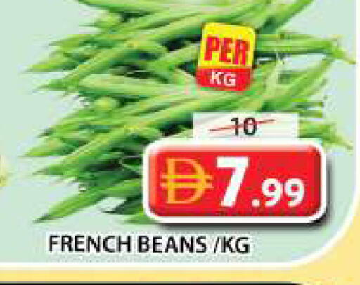 from France available at جراند هايبر ماركت in الإمارات العربية المتحدة , الامارات - الشارقة / عجمان