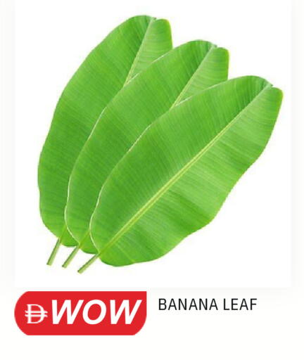 Banana available at سوق طلال in الإمارات العربية المتحدة , الامارات - الشارقة / عجمان