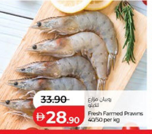 available at لولو هايبرماركت in الإمارات العربية المتحدة , الامارات - ٱلْعَيْن‎