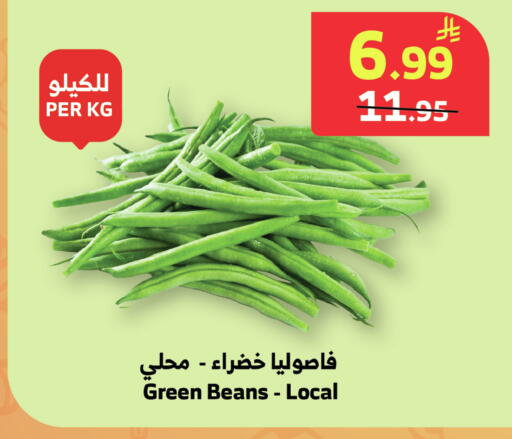 available at Al Raya in KSA, Saudi Arabia, Saudi - Tabuk