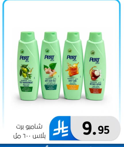 Ginger available at الحسين توب أب in مملكة العربية السعودية, السعودية, سعودية - المنطقة الشرقية