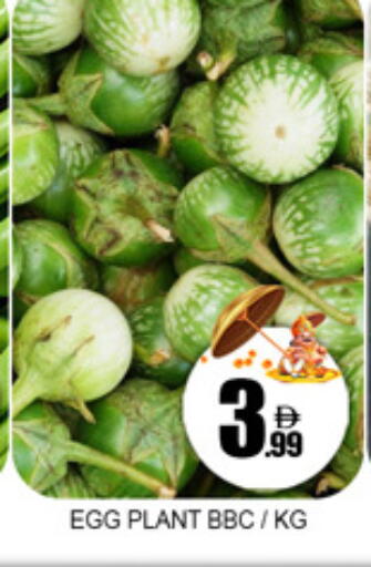available at Lucky Center in UAE - Sharjah / Ajman