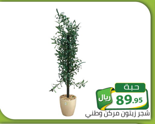 available at تخفيضات العائلة in مملكة العربية السعودية, السعودية, سعودية - الرياض