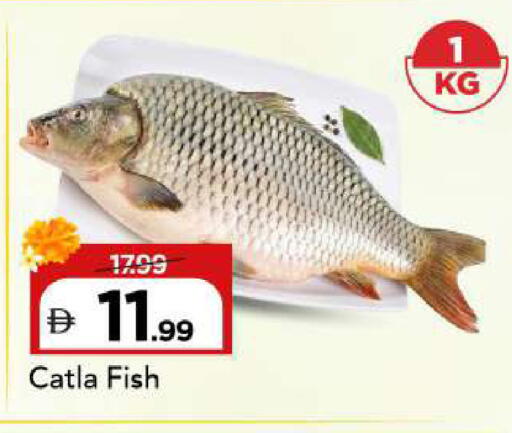 available at Mark & Save in UAE - Sharjah / Ajman