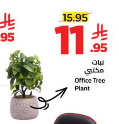 available at Wahj Mart in KSA, Saudi Arabia, Saudi - Jeddah
