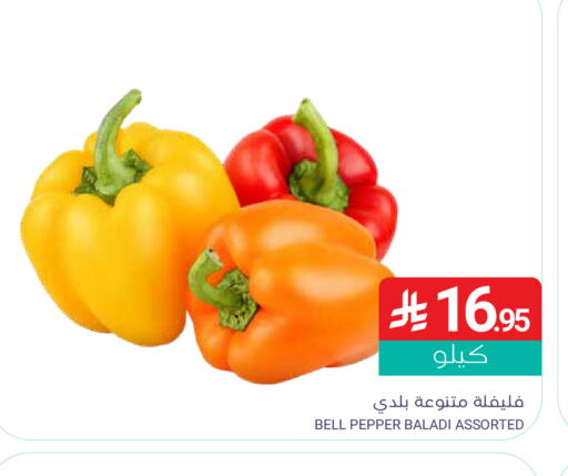 Bell Pepper available at Muntazah Markets in KSA, Saudi Arabia, Saudi - Qatif