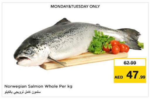 available at نستو هايبرماركت in الإمارات العربية المتحدة , الامارات - الشارقة / عجمان