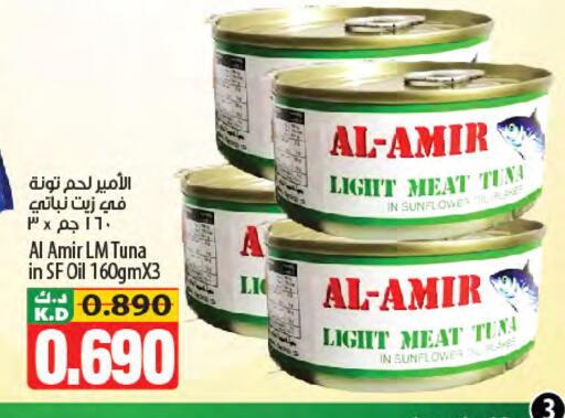 Mango available at مانجو هايبرماركت in الكويت - مدينة الكويت