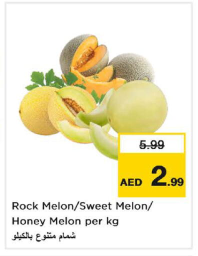 Melon available at لاست تشانس in الإمارات العربية المتحدة , الامارات - ٱلْفُجَيْرَة‎
