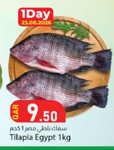 available at دانا ماركت in قطر - الضعاين