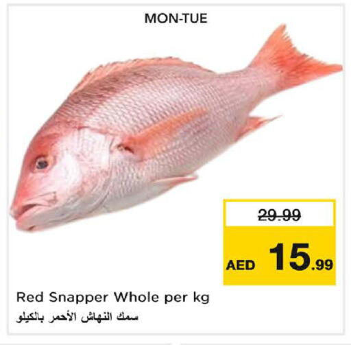 available at Nesto Hypermarket in UAE - Umm al Quwain