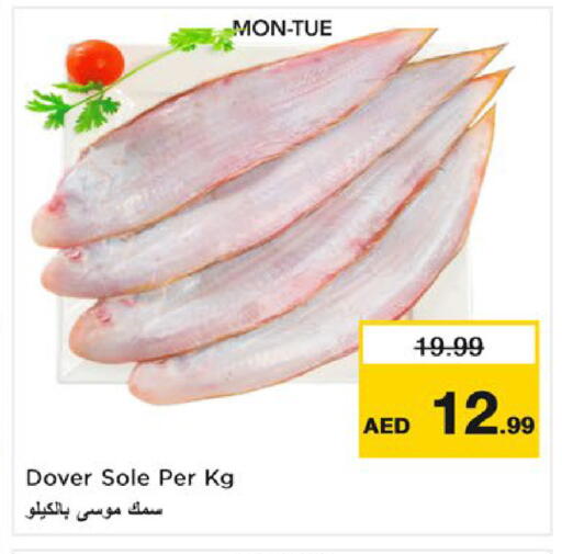 available at Nesto Hypermarket in UAE - Umm al Quwain