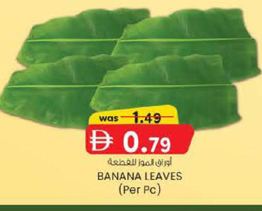 Banana available at ك. الم. للتجارة in الإمارات العربية المتحدة , الامارات - ٱلْفُجَيْرَة‎