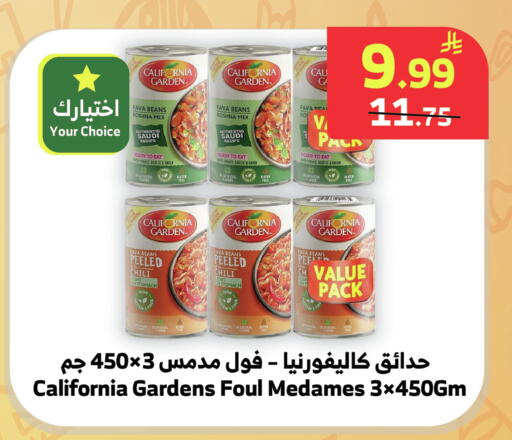 Tomato Garlic Onion available at Al Raya in KSA, Saudi Arabia, Saudi - Mecca