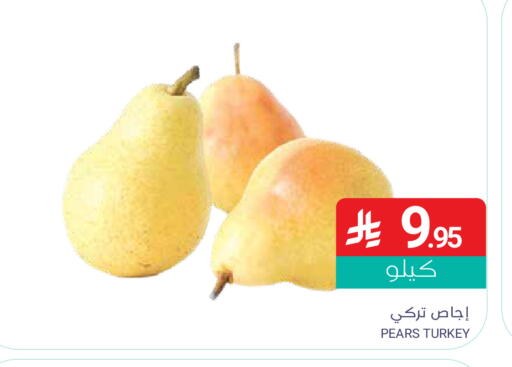 available at Muntazah Markets in KSA, Saudi Arabia, Saudi - Qatif