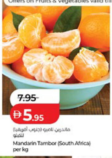 Mandarin from South Africa available at لولو هايبرماركت in الإمارات العربية المتحدة , الامارات - أبو ظبي
