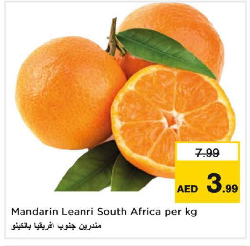 Mandarin from South Africa available at لاست تشانس in الإمارات العربية المتحدة , الامارات - ٱلْفُجَيْرَة‎