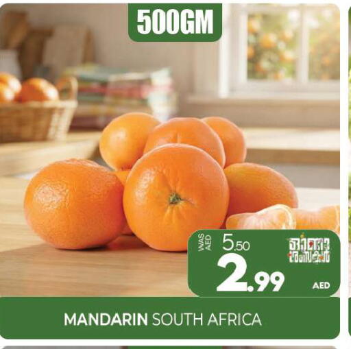 Mandarin from South Africa available at المدينة in الإمارات العربية المتحدة , الامارات - الشارقة / عجمان
