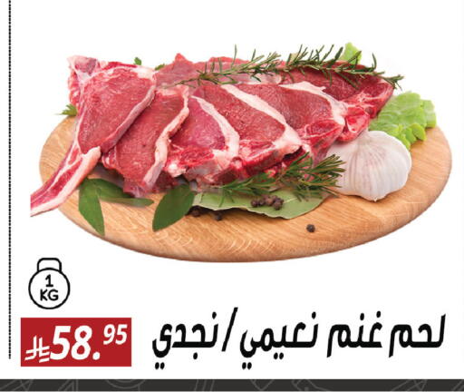available at سنام سوبرماركت in مملكة العربية السعودية, السعودية, سعودية - الرياض
