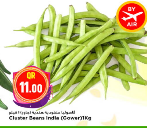 from India available at مرزا هايبرماركت in قطر - الدوحة