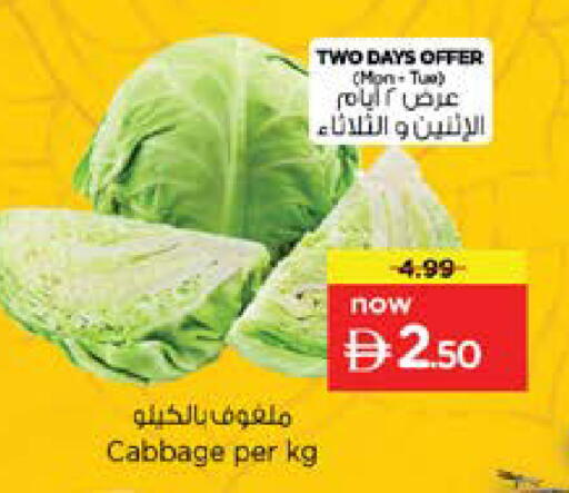 Cabbage available at Nesto Hypermarket in UAE - Sharjah / Ajman