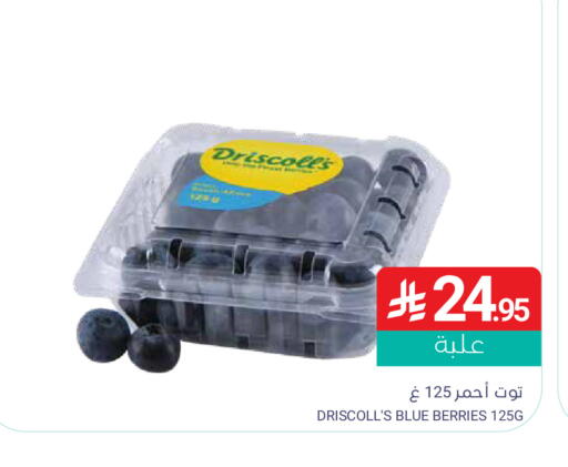 available at Muntazah Markets in KSA, Saudi Arabia, Saudi - Qatif