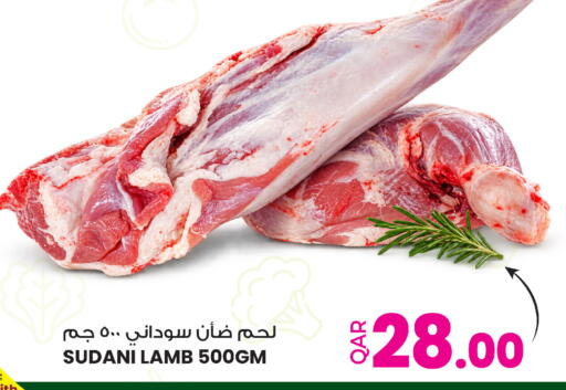 available at أنصار جاليري in قطر - الشحانية