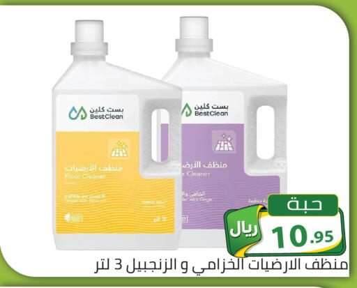 Ginger available at تخفيضات العائلة in مملكة العربية السعودية, السعودية, سعودية - الرياض