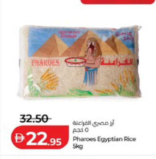 available at لولو هايبرماركت in الإمارات العربية المتحدة , الامارات - أبو ظبي