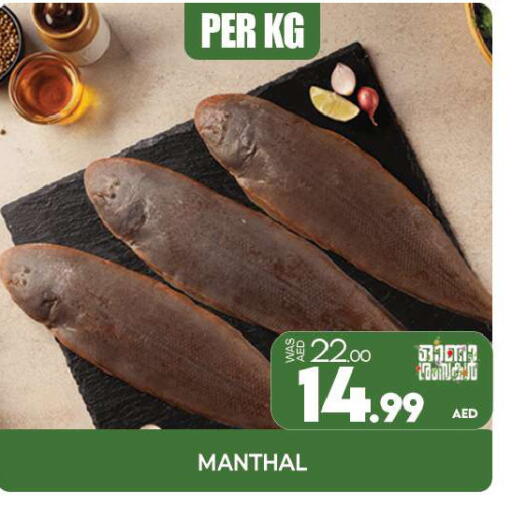 available at المدينة in الإمارات العربية المتحدة , الامارات - الشارقة / عجمان