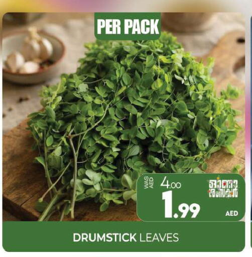 available at المدينة in الإمارات العربية المتحدة , الامارات - الشارقة / عجمان