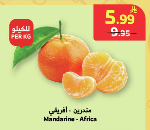 available at الراية in مملكة العربية السعودية, السعودية, سعودية - نجران