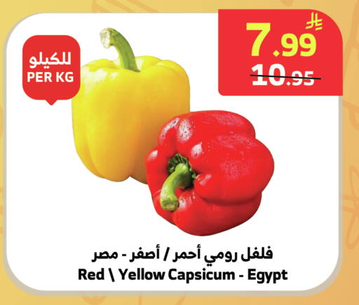 Yellow Capsicum from Egypt available at Al Raya in KSA, Saudi Arabia, Saudi - Tabuk