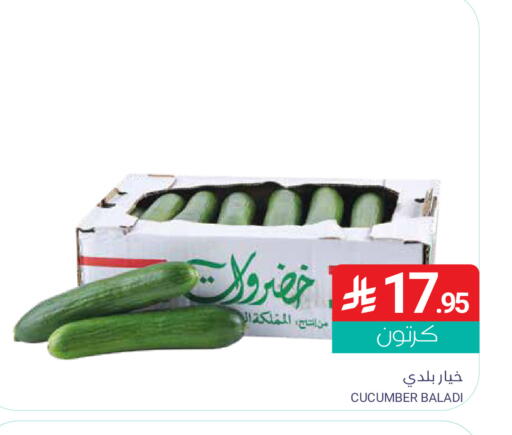 Cucumber available at اسواق المنتزه in مملكة العربية السعودية, السعودية, سعودية - القطيف‎