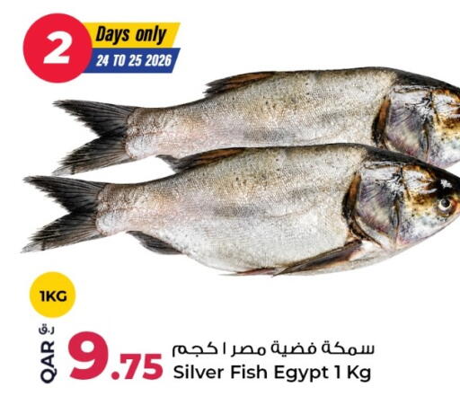 available at روابي هايبرماركت in قطر - الدوحة