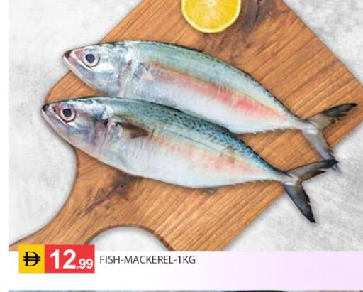 available at سوق طلال in الإمارات العربية المتحدة , الامارات - أبو ظبي