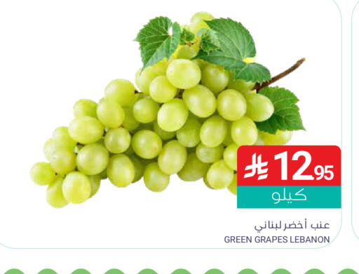Grapes from Lebanon available at Muntazah Markets in KSA, Saudi Arabia, Saudi - Dammam