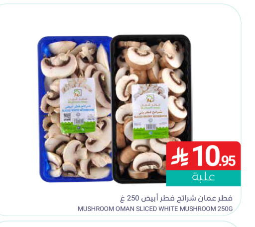 Mushroom available at اسواق المنتزه in مملكة العربية السعودية, السعودية, سعودية - المنطقة الشرقية