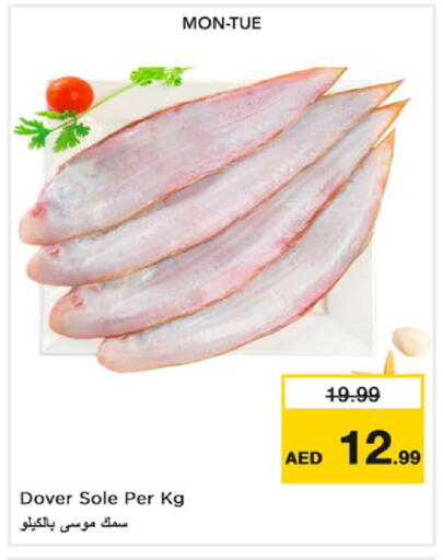 available at نستو هايبرماركت in الإمارات العربية المتحدة , الامارات - ٱلْعَيْن‎