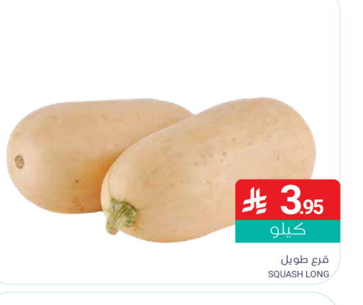Squash available at اسواق المنتزه in مملكة العربية السعودية, السعودية, سعودية - القطيف‎