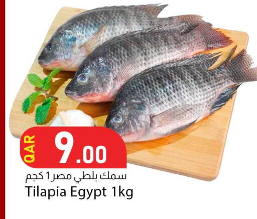 available at Dana Market in Qatar - Al Rayyan