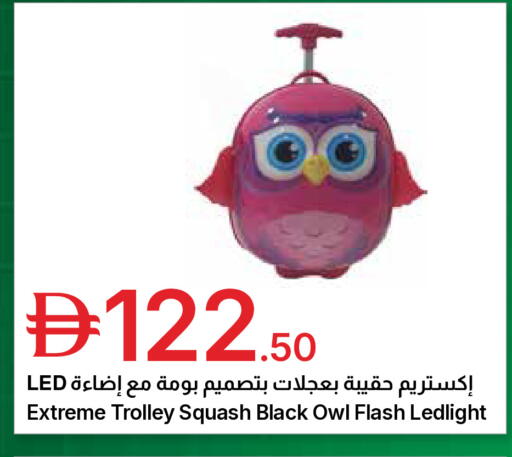 Squash available at جمعية الامارات التعاونية in الإمارات العربية المتحدة , الامارات - دبي