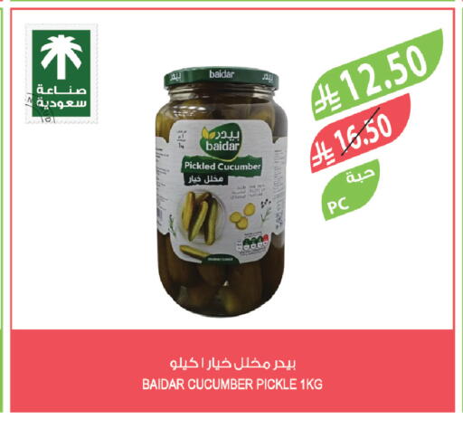 Cucumber available at المزرعة in مملكة العربية السعودية, السعودية, سعودية - الخرج