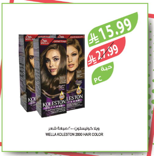 available at المزرعة in مملكة العربية السعودية, السعودية, سعودية - نجران