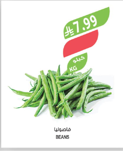 available at Farm  in KSA, Saudi Arabia, Saudi - Tabuk