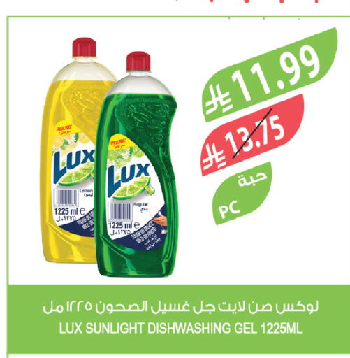 Lemon available at المزرعة in مملكة العربية السعودية, السعودية, سعودية - الخرج