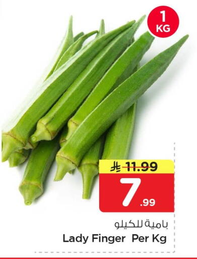 available at نستو in مملكة العربية السعودية, السعودية, سعودية - الجبيل‎