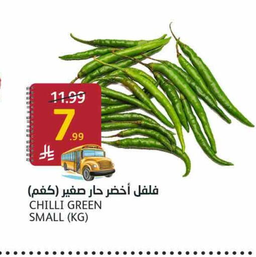 Chilli available at AlJazera Shopping Center in KSA, Saudi Arabia, Saudi - Riyadh
