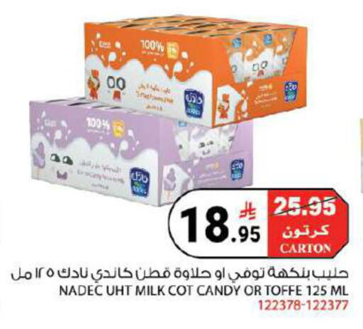 available at House Care in KSA, Saudi Arabia, Saudi - Mecca